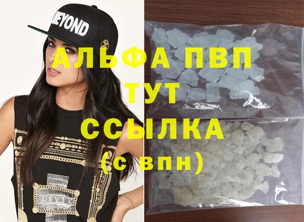 ГАЛЛЮЦИНОГЕННЫЕ ГРИБЫ Дмитриев
