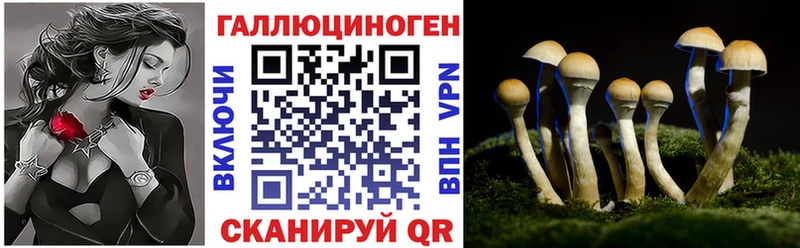блэк спрут tor  Данков  Псилоцибиновые грибы прущие грибы 
